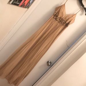 BCBG long Greek goddess dress